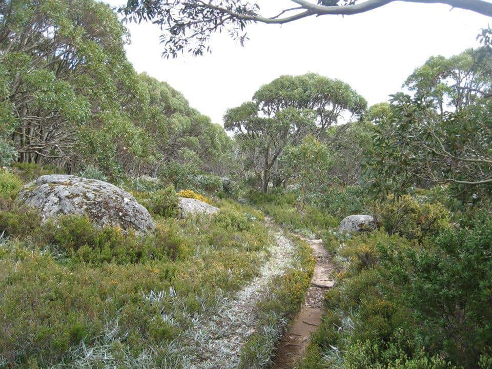 10425472_794340190622430_7876254682350243805_n