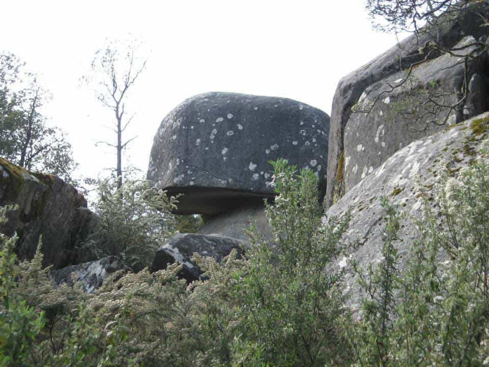 10525630_794339647289151_5276234651035623449_n