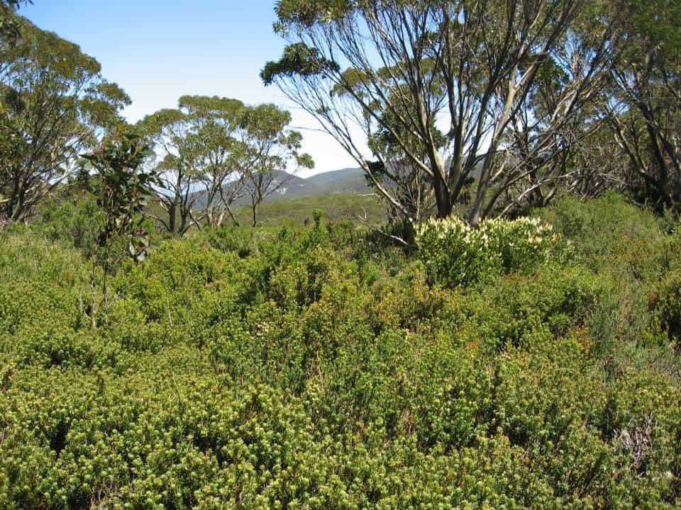 10625095_794342223955560_562919601523568312_n