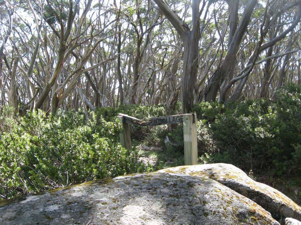 10689600_794341540622295_2429418539097995860_n