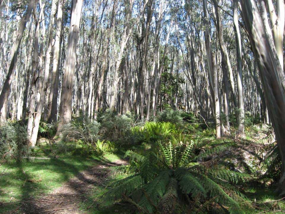 10689963_794339927289123_2428788247159444256_n