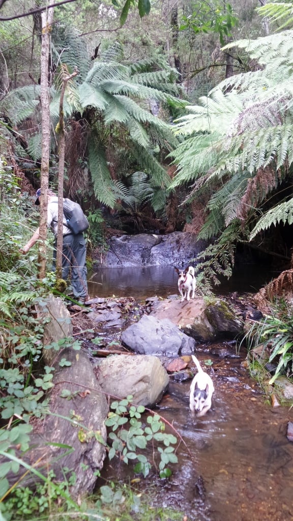 2016-03-12 16.03.20 comp