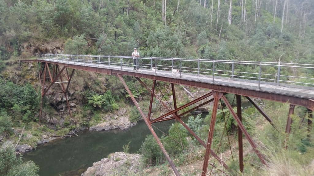 2016-03-12 16.50.23 comp