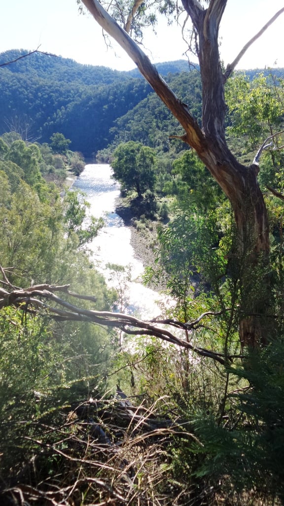 2016-06-02 12.19.14 comp