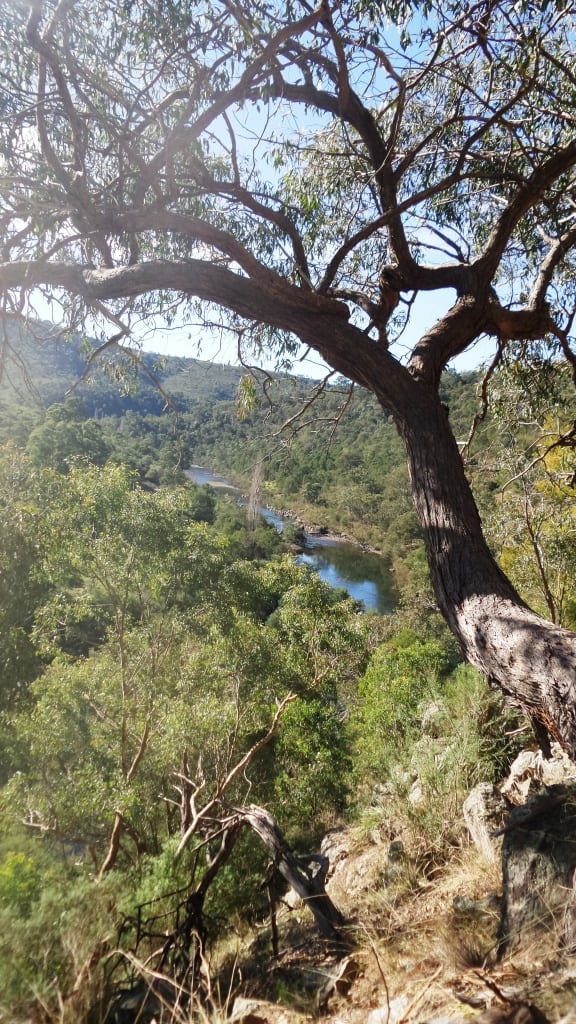 2016-06-02 12.21.44 comp