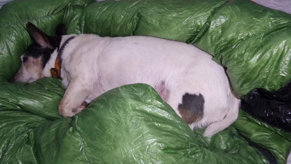 2016-06-02 16.54.00 comp