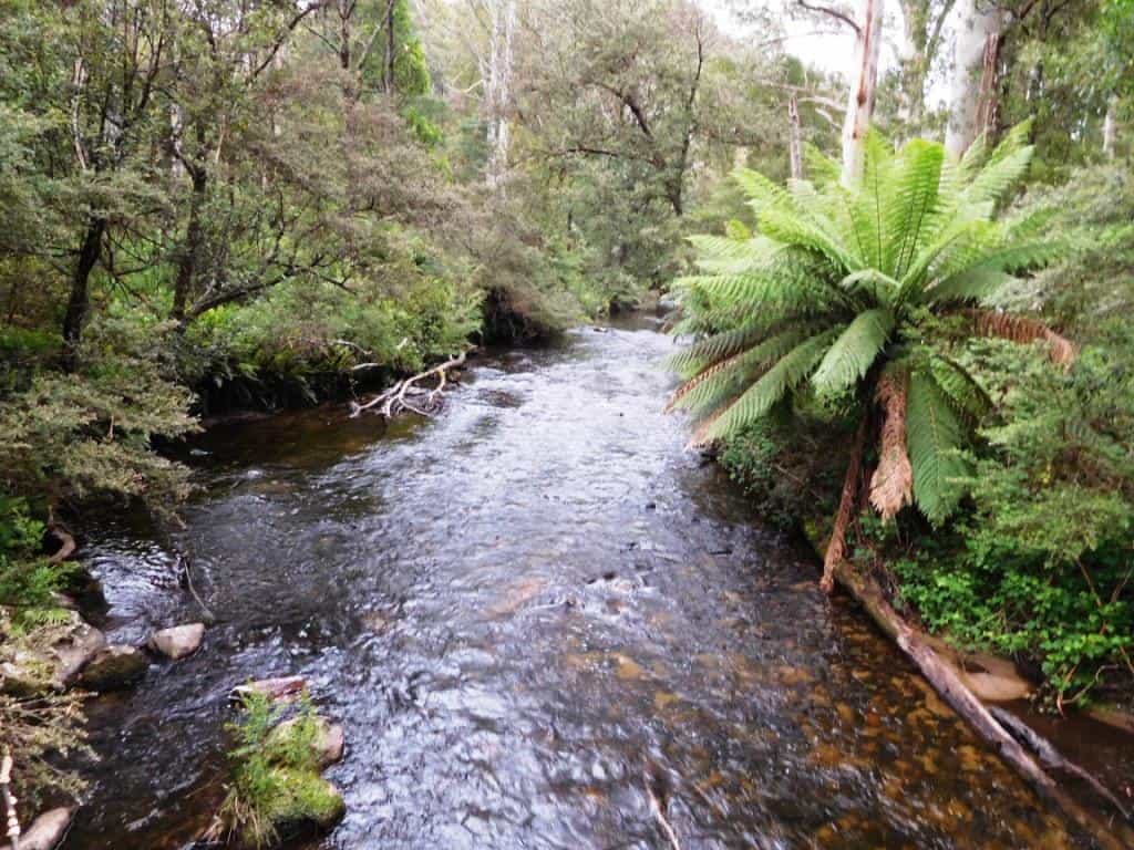 Gippsland Pack Rafting Routes: