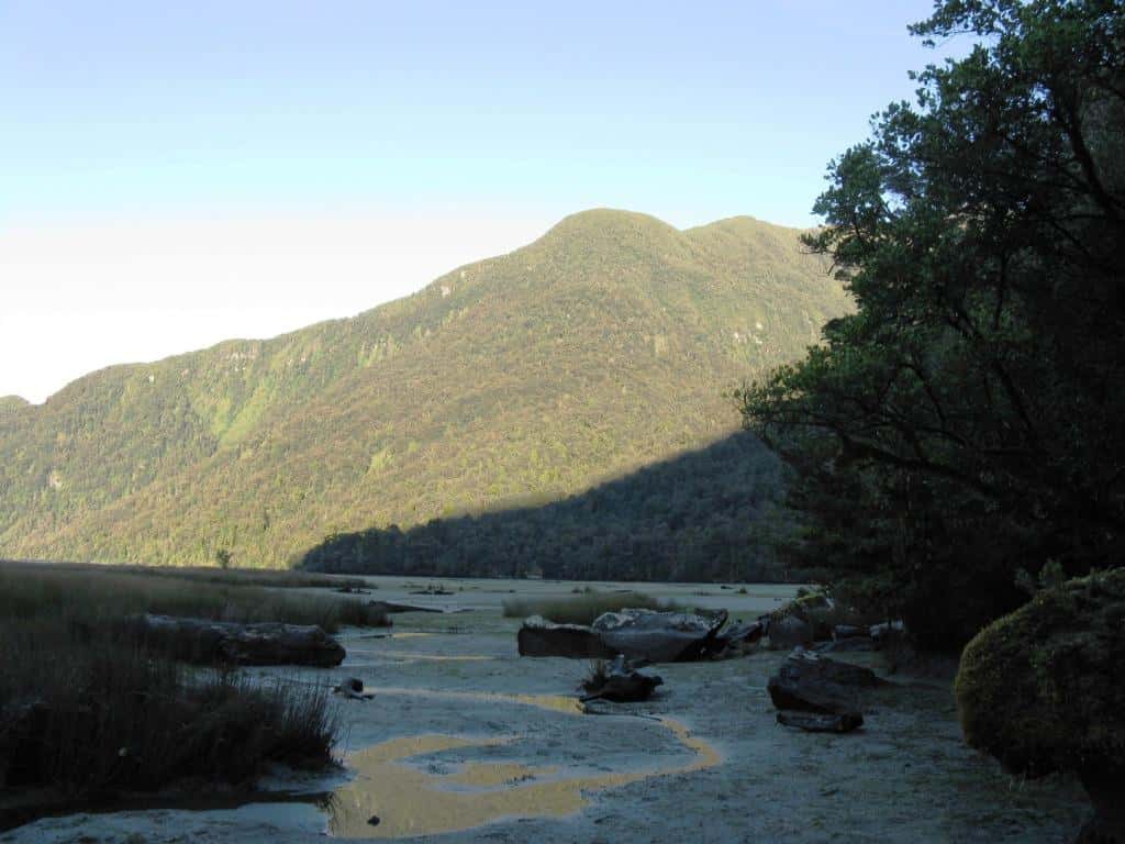 Supper Cove Fiordland NZ