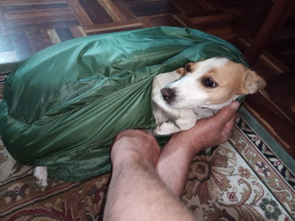 Spot s DIY Ultralight Dog Sleeping Bag 2 The Ultralight Hiker