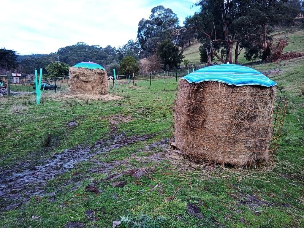 DIY sheep hay feeder