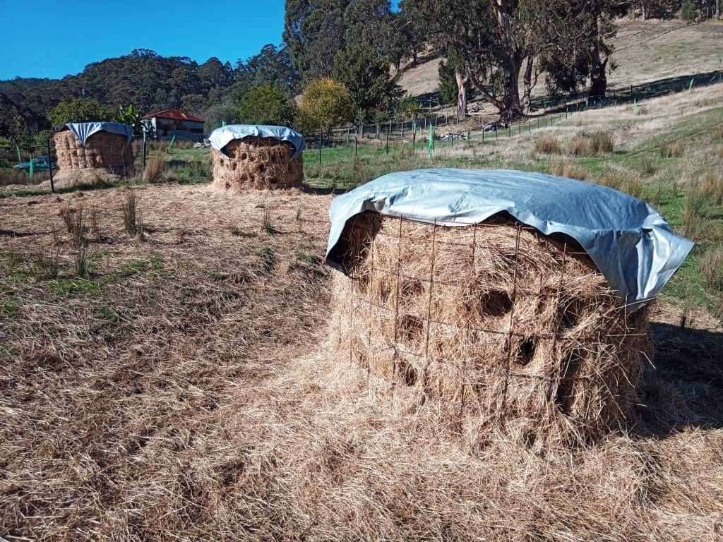 DIY sheep hay feeder