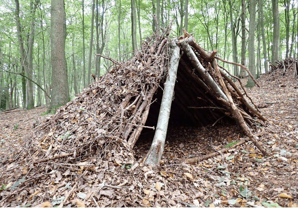 jungle survival shelter