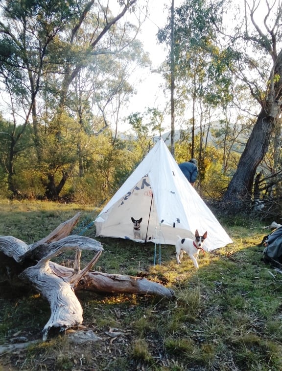Zpack Plex Solo Tent | The Ultralight Hiker