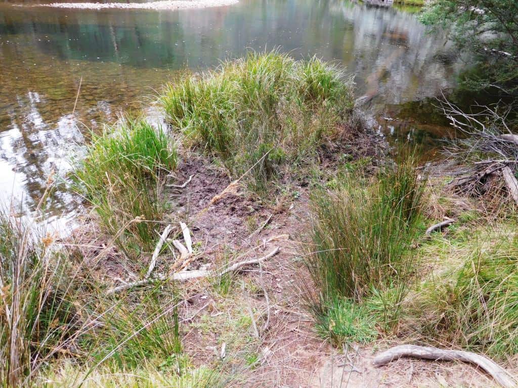 Wonnangatta River Scene