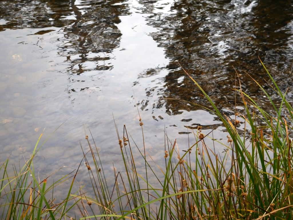 Wonnangatta River Scene