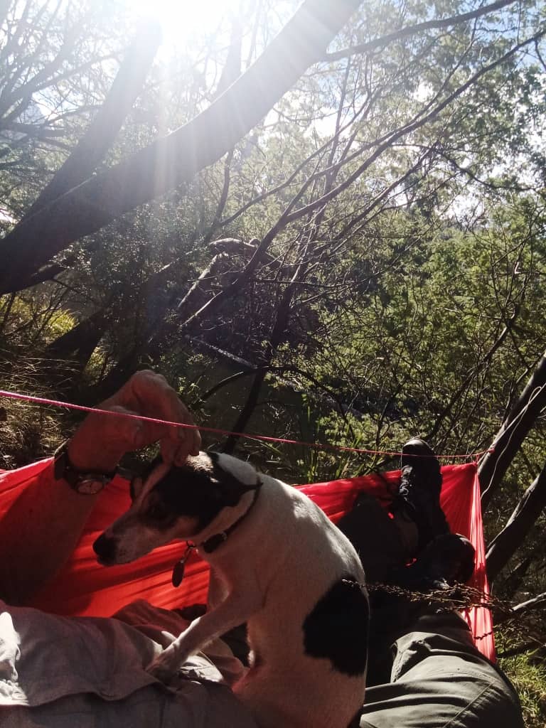 Hummingbird Hammock