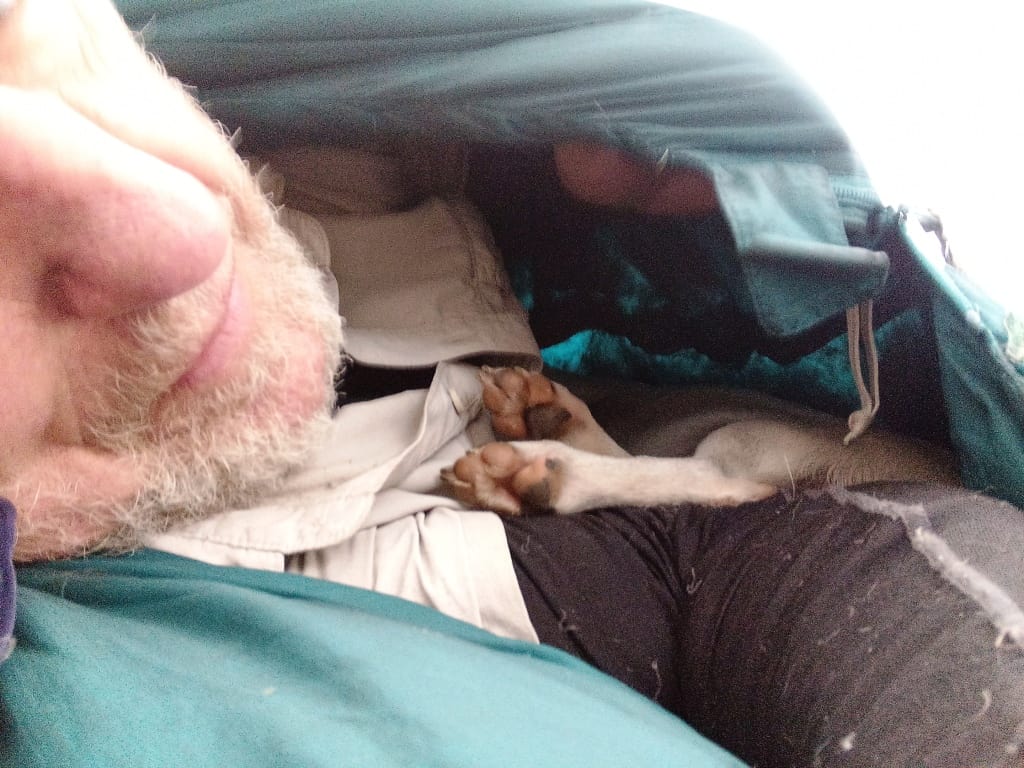 Montbell Sleeping Bag