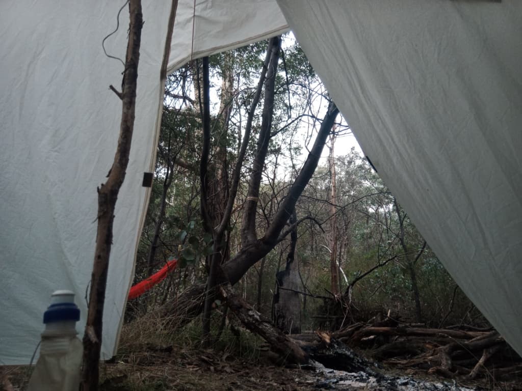 Hummingbird Hammock