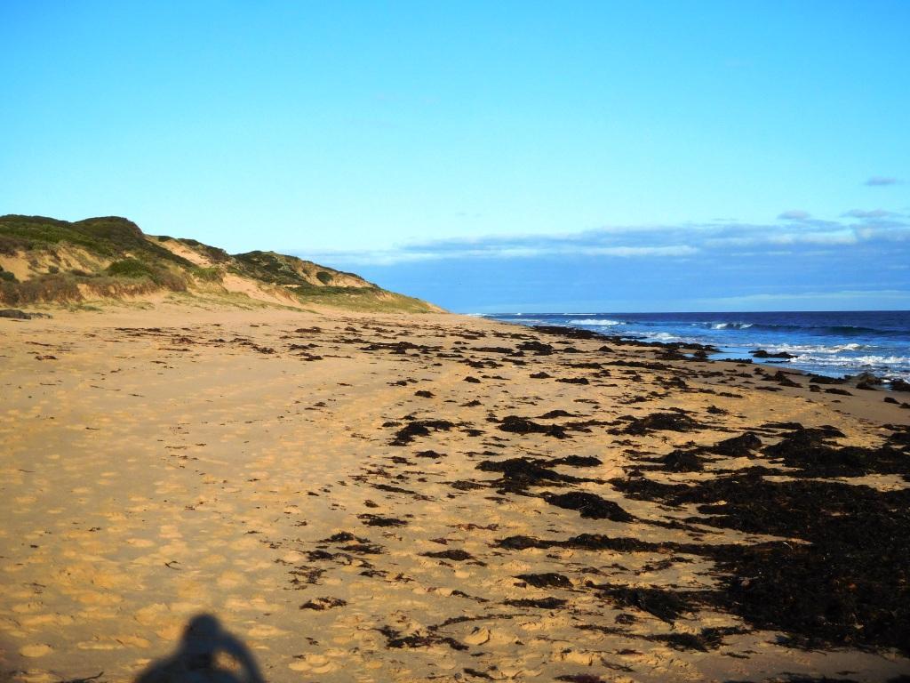 F Break Cape Paterson Gippland