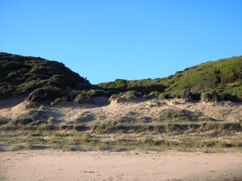 F Break Cape Paterson Gippland