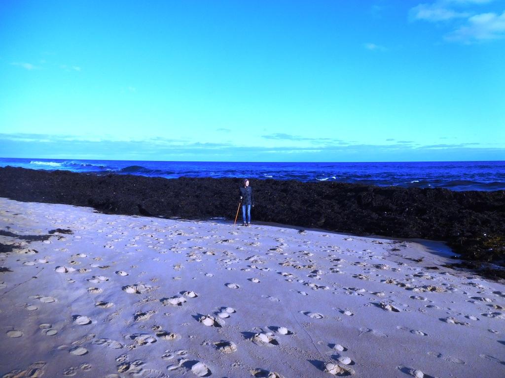 F Break Cape Paterson Gippland