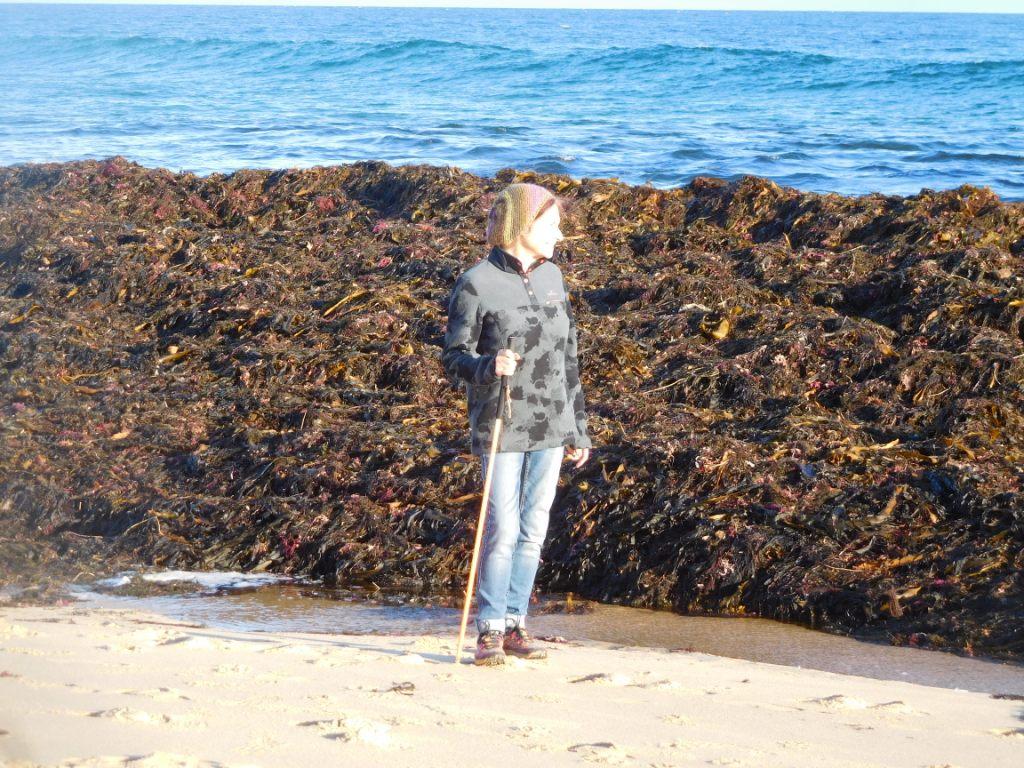 F Break Cape Paterson Gippland