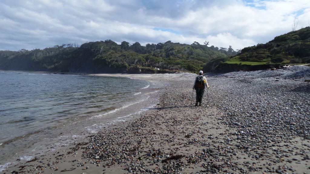 South Coast Track Fiordland New Zealand