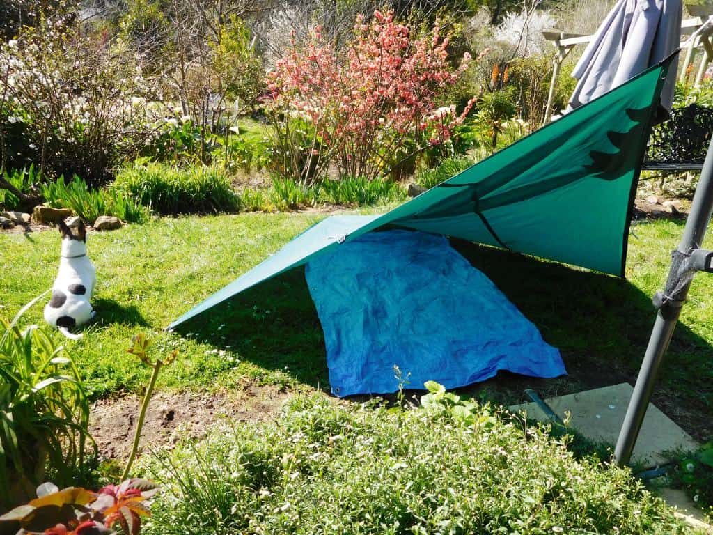 TARP to TARP × T no T◇Valo Shade◇ゴールゼロ 抽選販売】T no T x TARPtoTARP ⁡ 