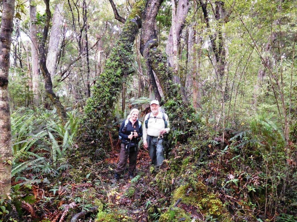 South Coast Track Fiordland New Zealand