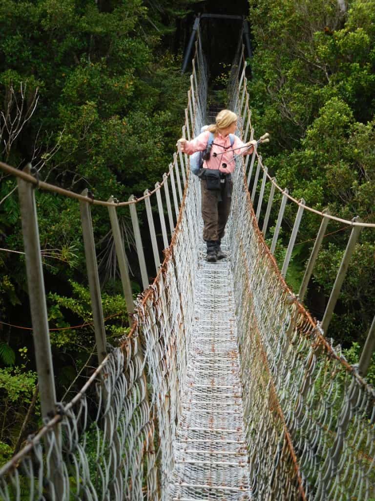 South Coast Track Fiordland New Zealand