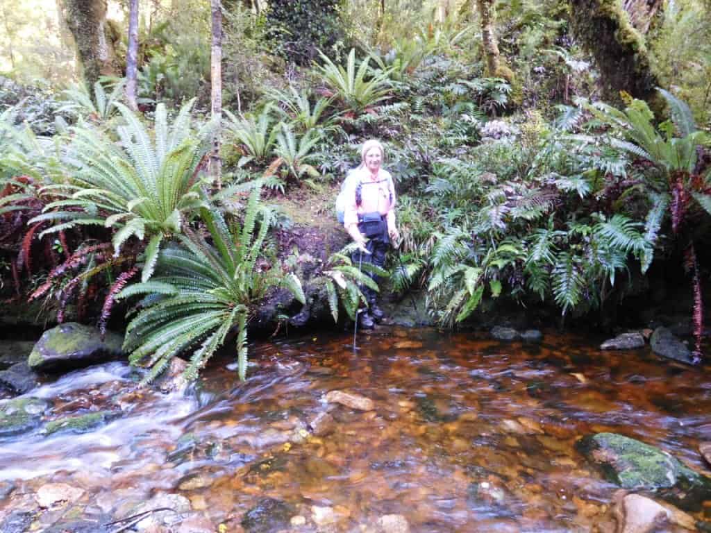 South Coast Track Fiordland New Zealand