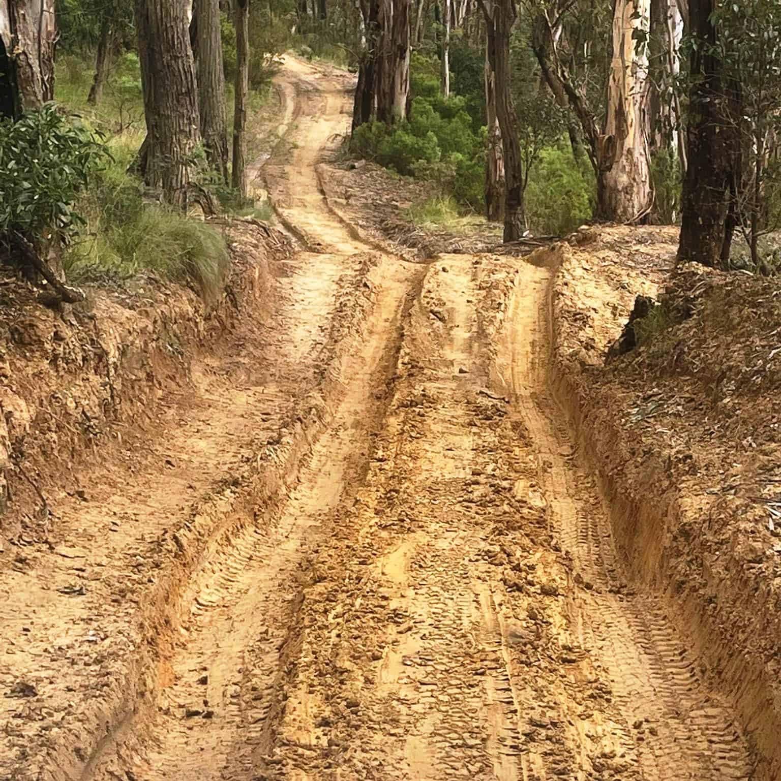 Beardmore's Track