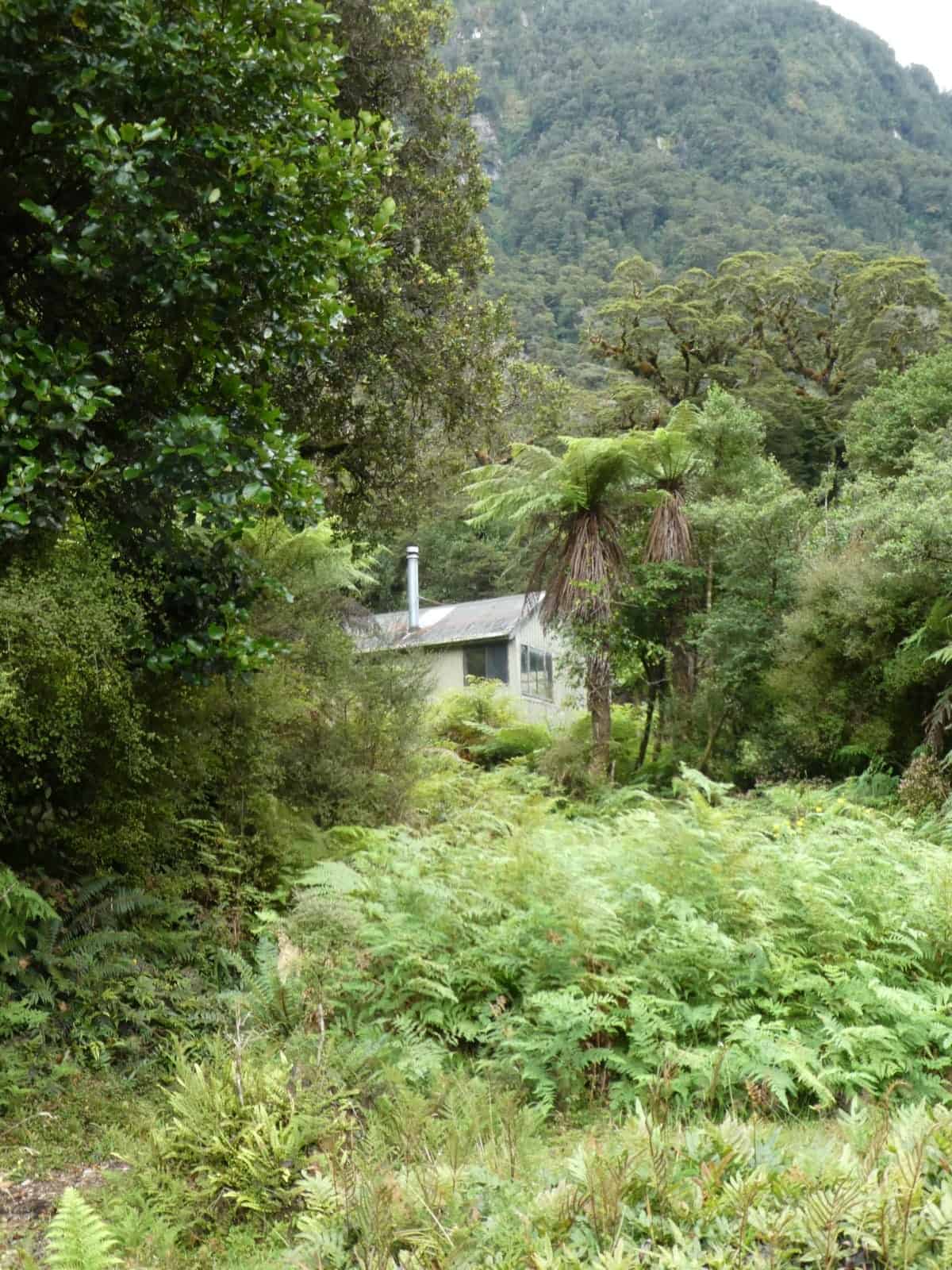 Dusky Track Fiordland New Zealand