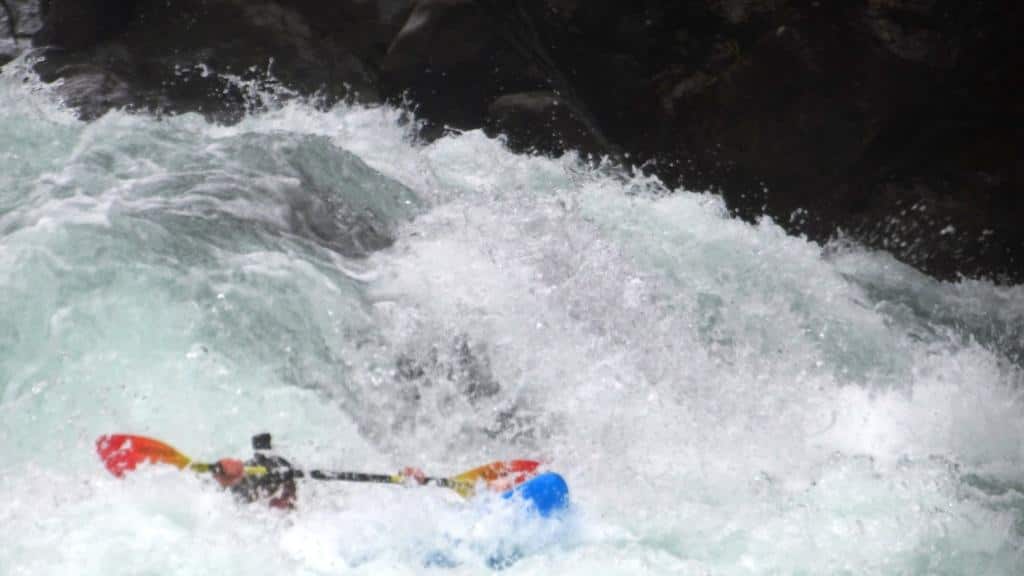 Canoeing the Hollyford River