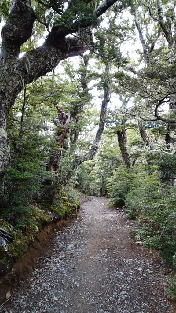 Kepler Track Heli Hike