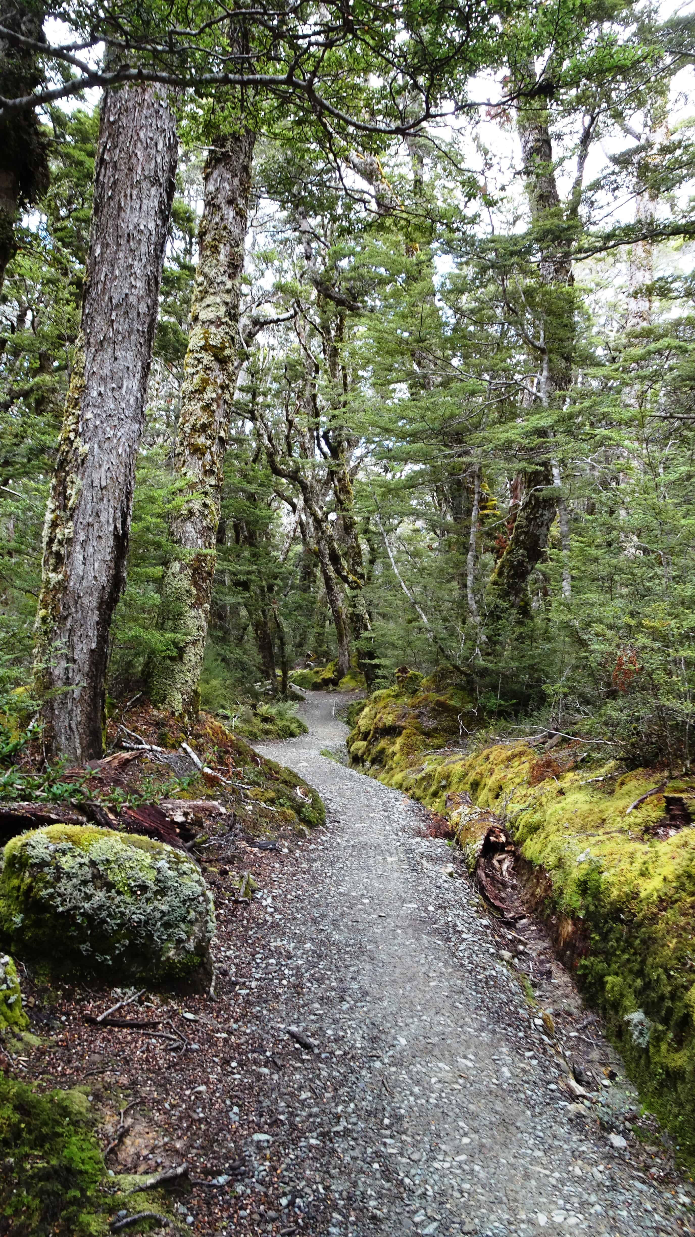 Kepler Track Heli Hike