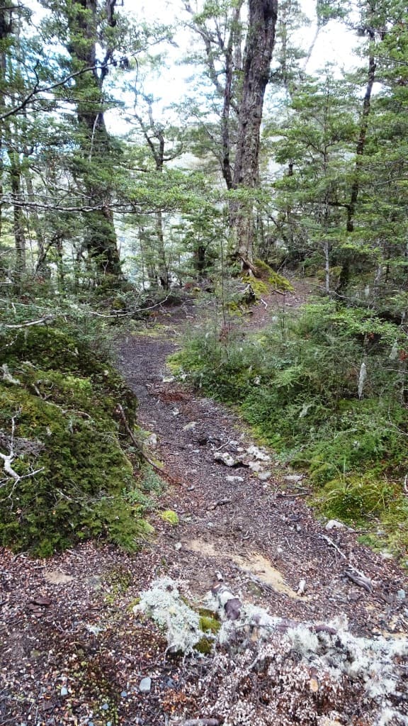 Kepler Track Heli Hike