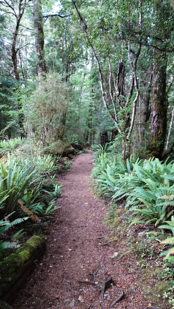Kepler Track Heli Hike