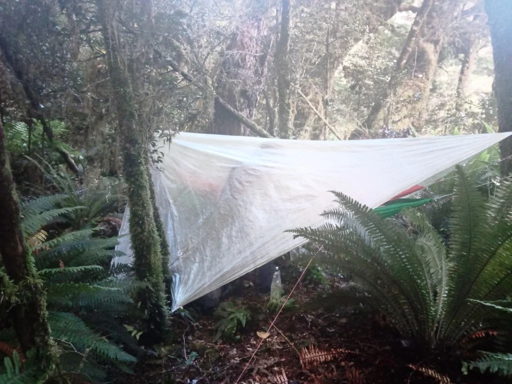 Dusky Track Fiordland New Zealand