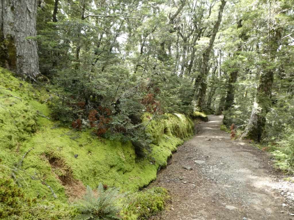 Kepler Track Heli Hike
