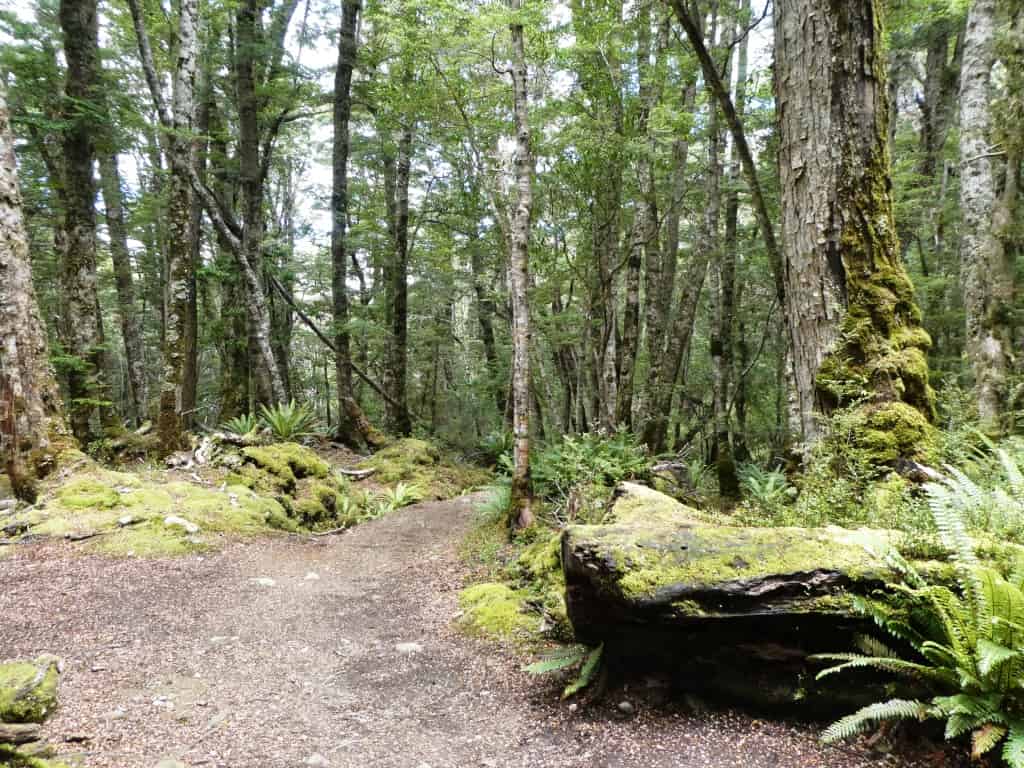 Kepler Track Heli Hike