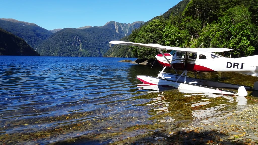 Supper Cove Fiordland