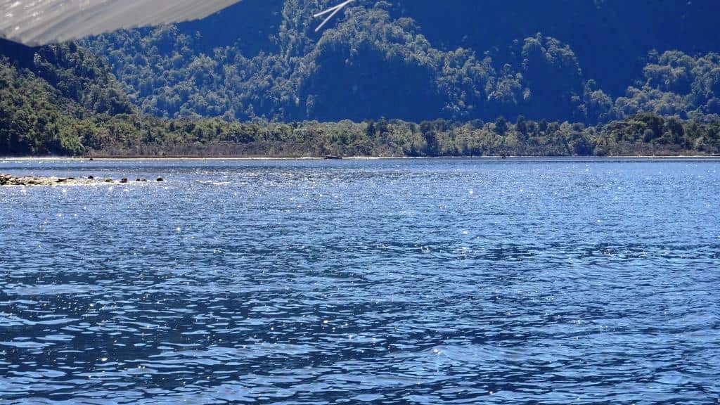 Supper Cove Fiordland