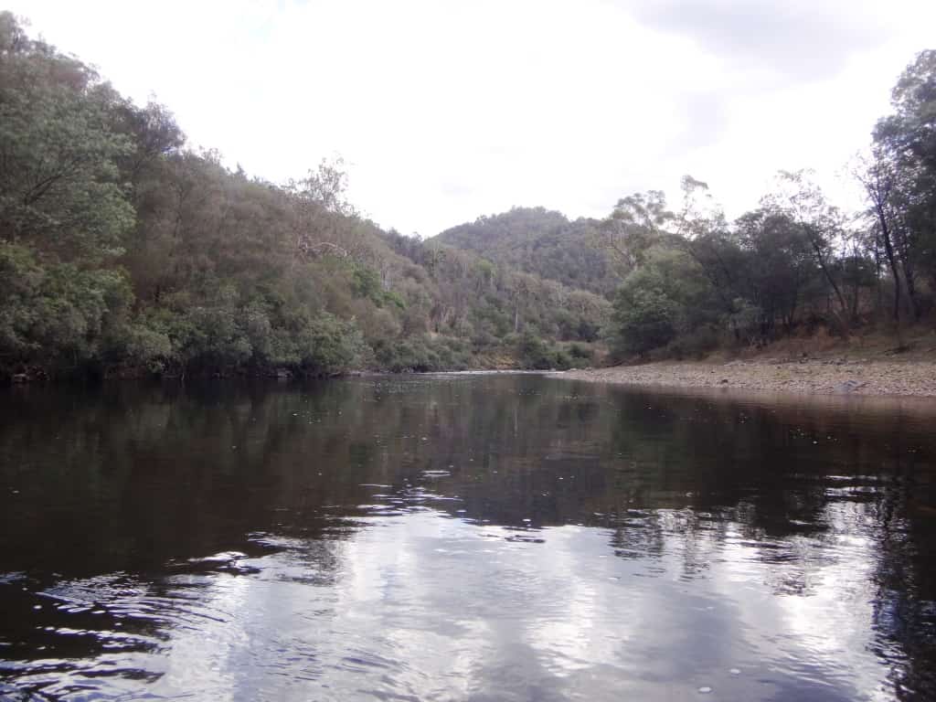 Mitchell River