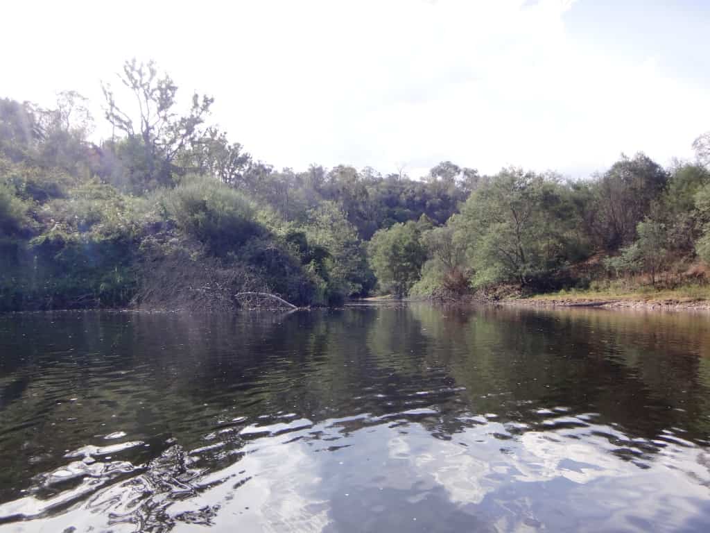 Wentworth River Confluence