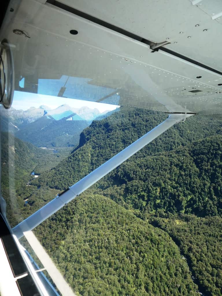Seaforth Valley Fiordland