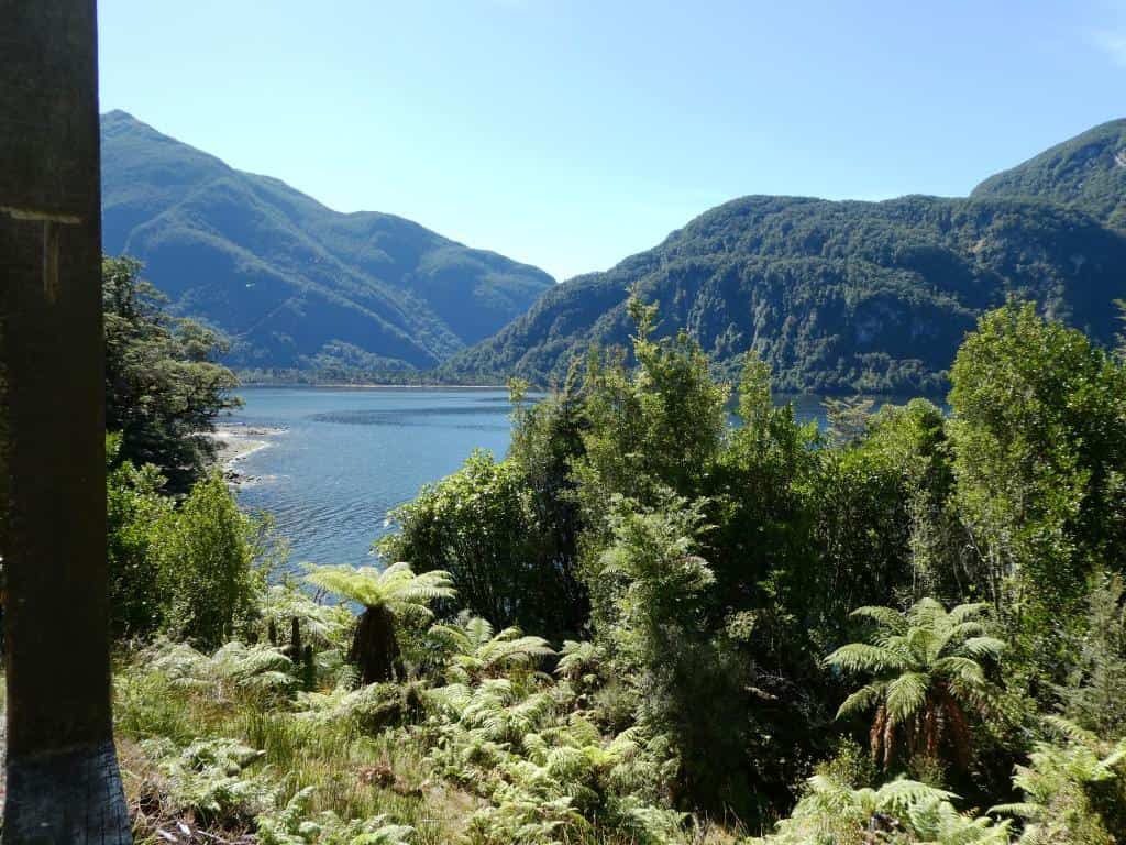 Supper Cove Fiordland