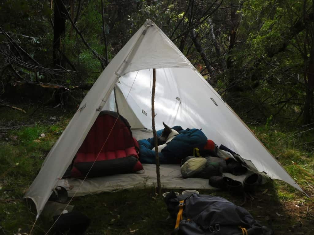 Combo Hammock Tarp/Tent Pattern & Instructions Coming Soon