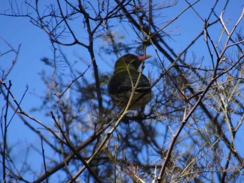 The things you find: