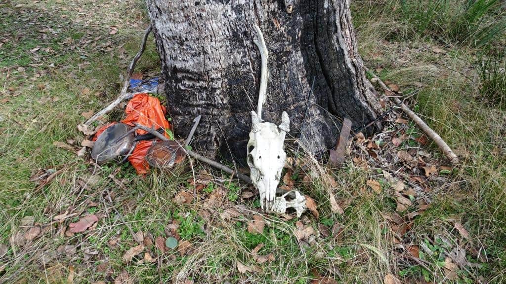 Wonnangatta Pack Track